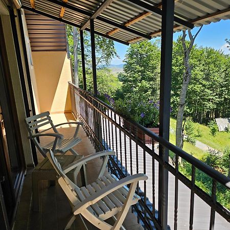 Gorska Vila Apartments Žabljak エクステリア 写真