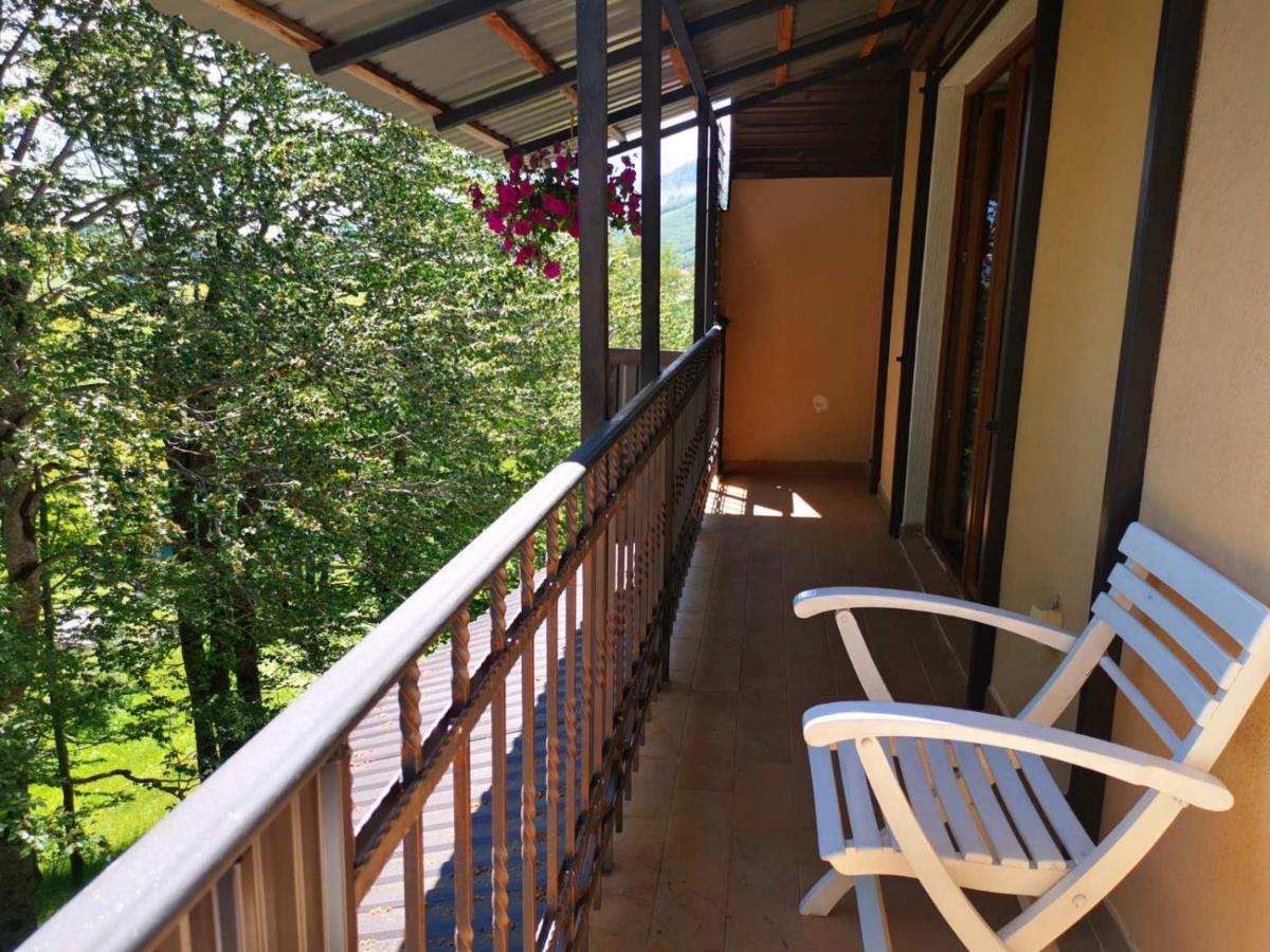 Gorska Vila Apartments Žabljak エクステリア 写真