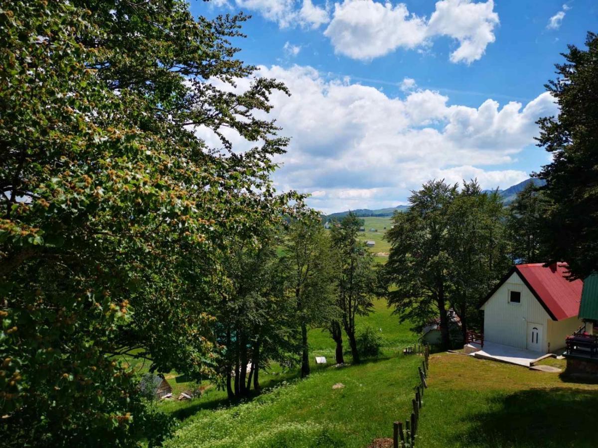 Gorska Vila Apartments Žabljak エクステリア 写真