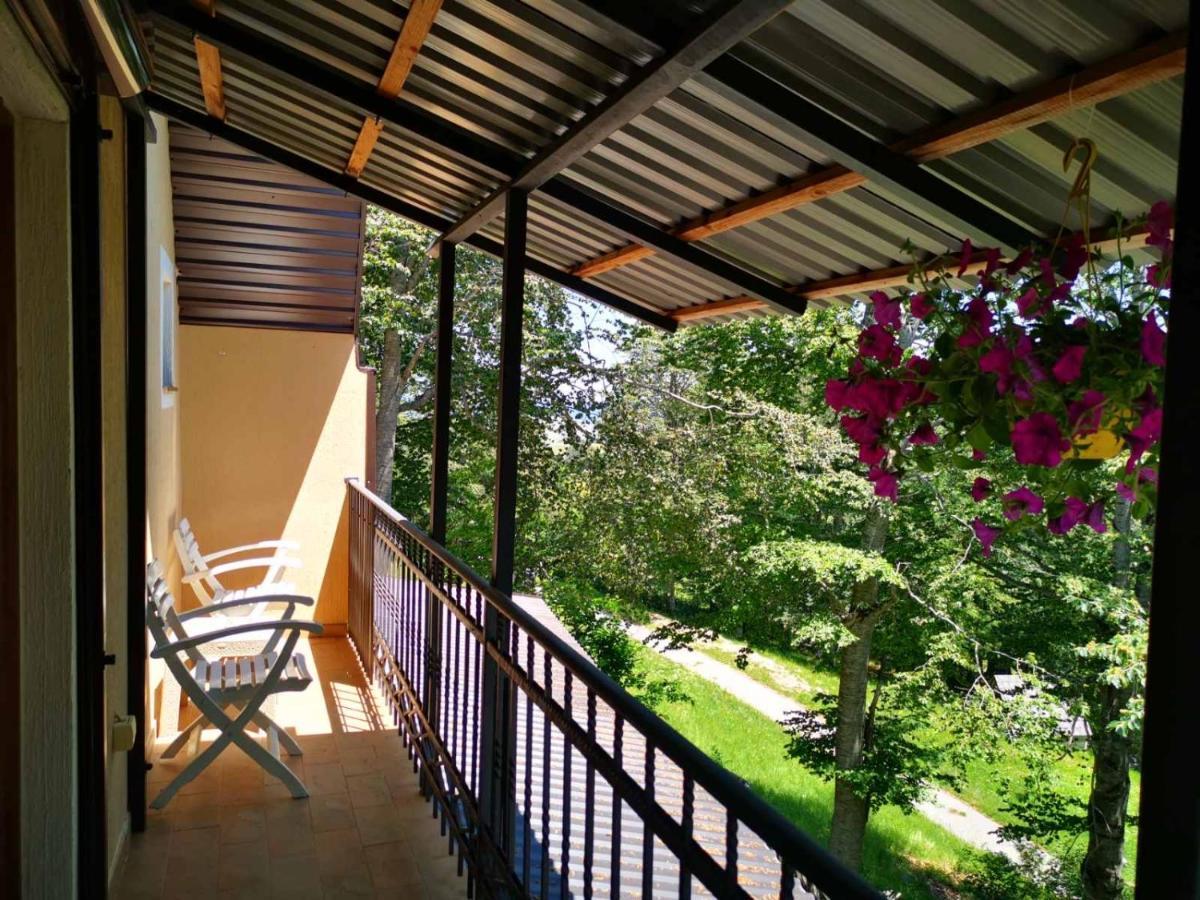 Gorska Vila Apartments Žabljak エクステリア 写真