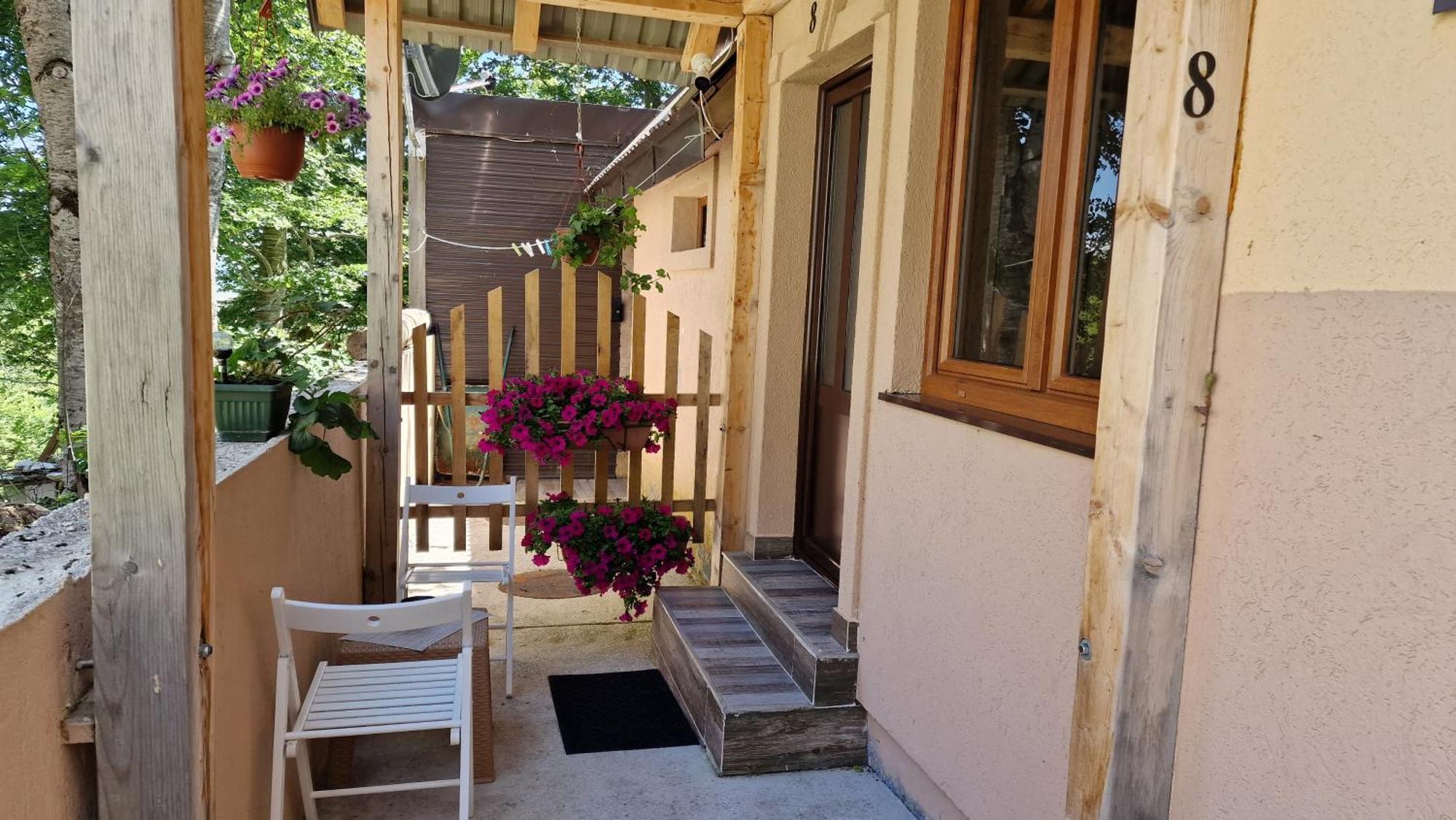 Gorska Vila Apartments Žabljak エクステリア 写真