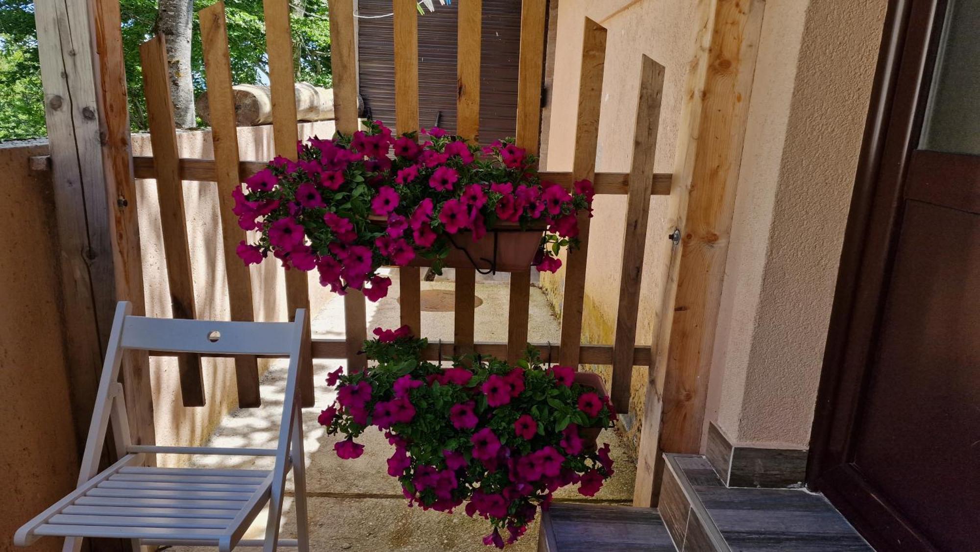 Gorska Vila Apartments Žabljak 部屋 写真