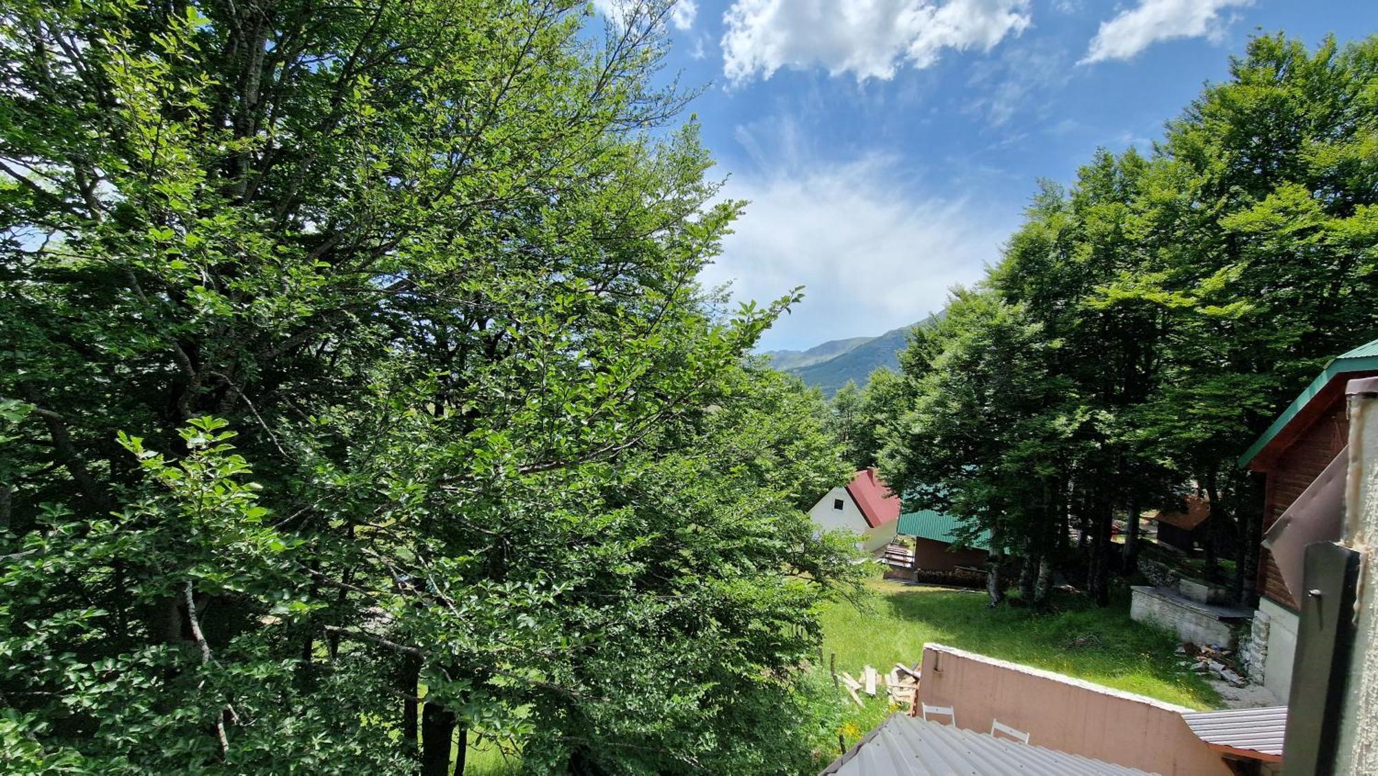 Gorska Vila Apartments Žabljak 部屋 写真