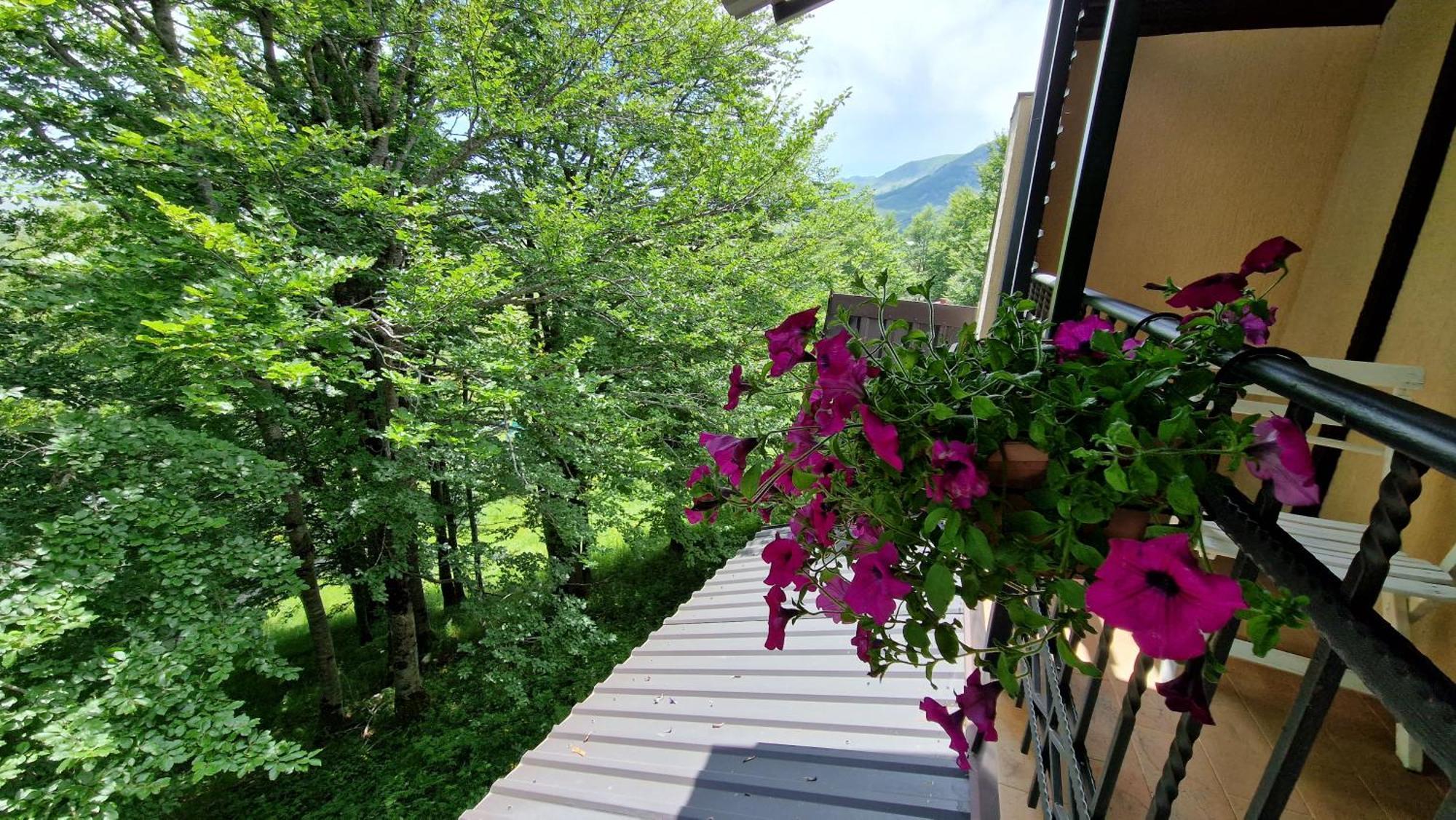 Gorska Vila Apartments Žabljak 部屋 写真