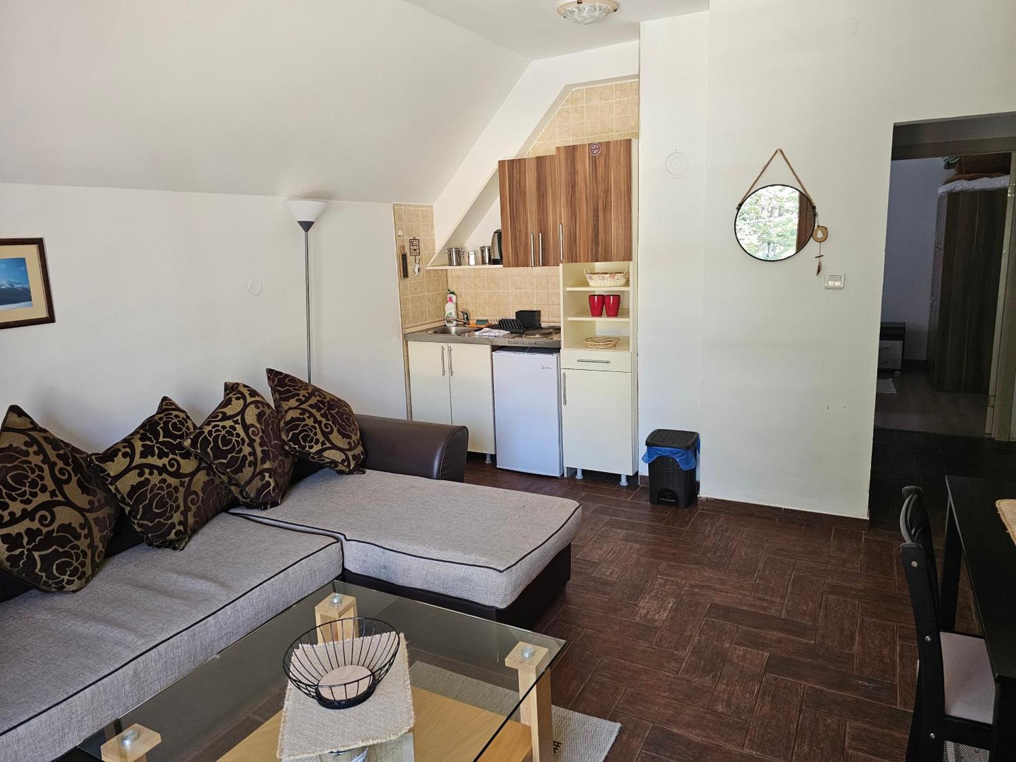 Gorska Vila Apartments Žabljak エクステリア 写真